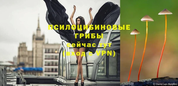 эйфоретик Арсеньев
