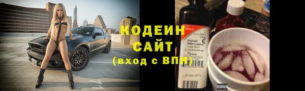эйфоретик Арсеньев